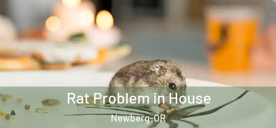 Rat Problem in House Newberg-OR