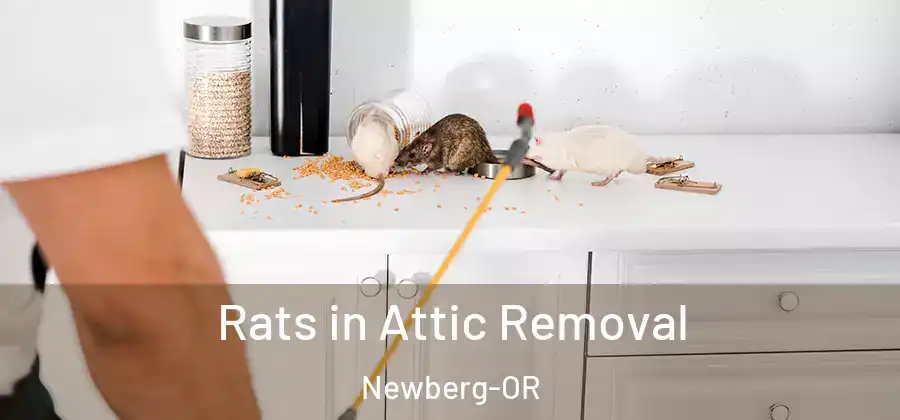 Rats in Attic Removal Newberg-OR