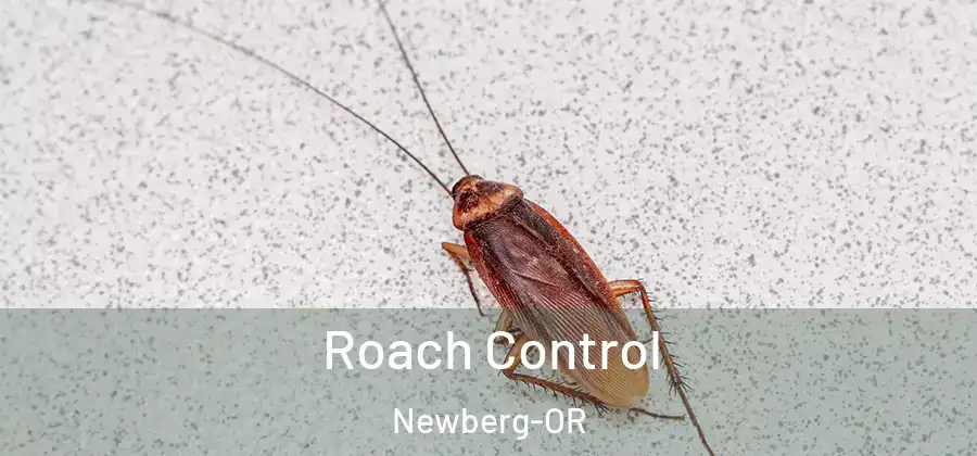 Roach Control Newberg-OR