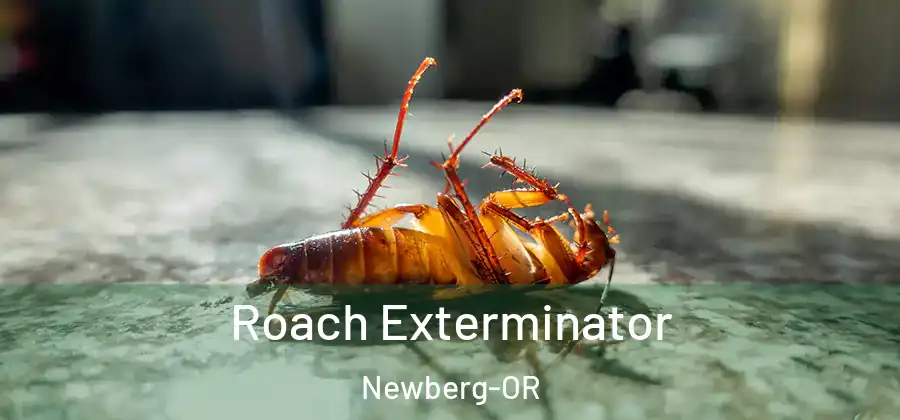 Roach Exterminator Newberg-OR