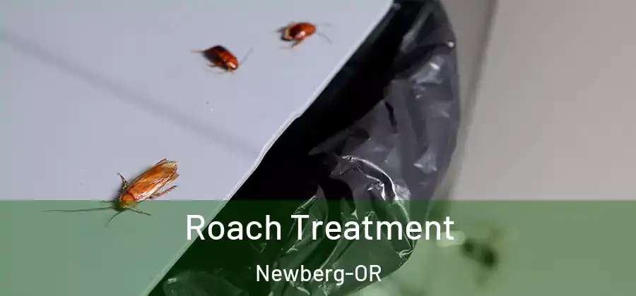 Roach Treatment Newberg-OR