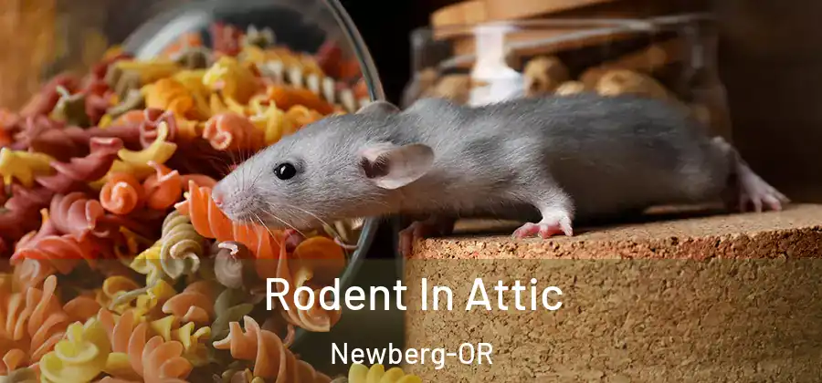 Rodent In Attic Newberg-OR