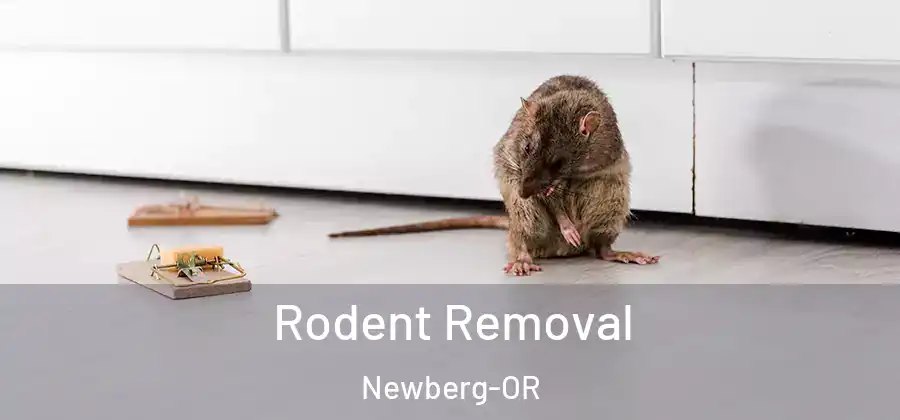Rodent Removal Newberg-OR