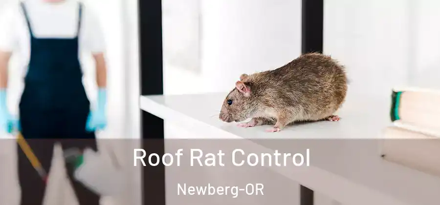  Roof Rat Control Newberg-OR
