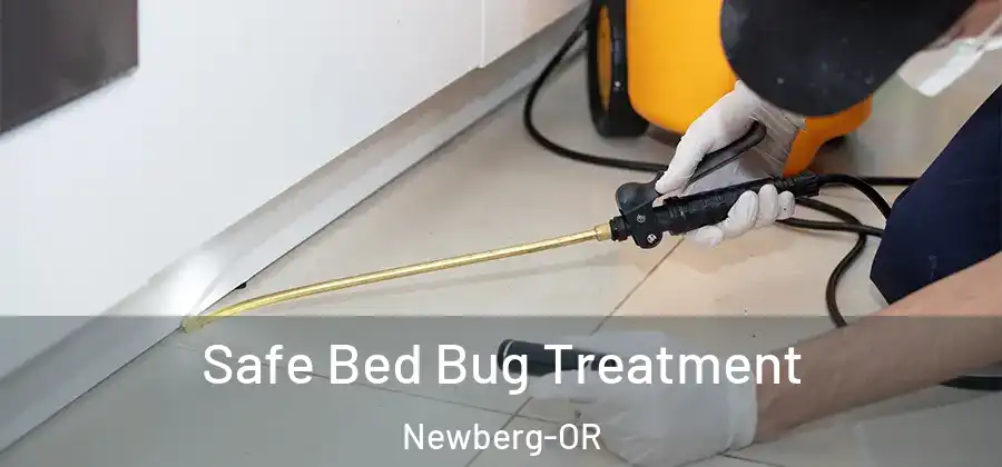 Safe Bed Bug Treatment Newberg-OR