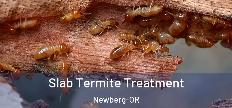 Slab Termite Treatment Newberg-OR