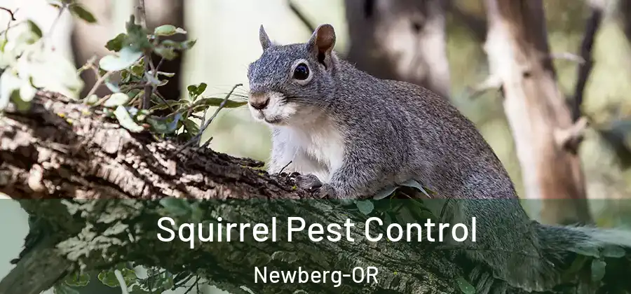 Squirrel Pest Control Newberg-OR