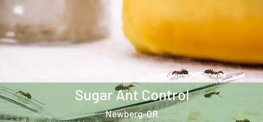  Sugar Ant Control Newberg-OR