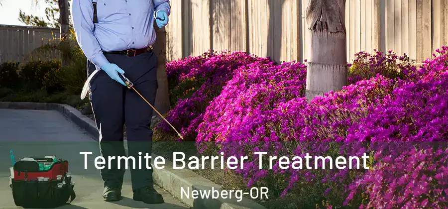 Termite Barrier Treatment Newberg-OR