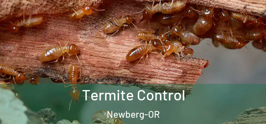 Termite Control Newberg-OR