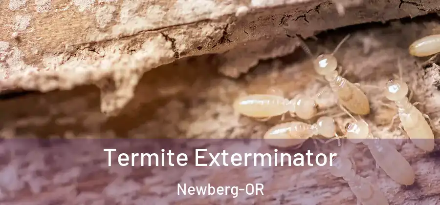 Termite Exterminator Newberg-OR
