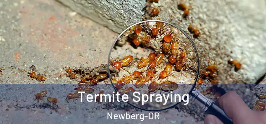 Termite Spraying Newberg-OR