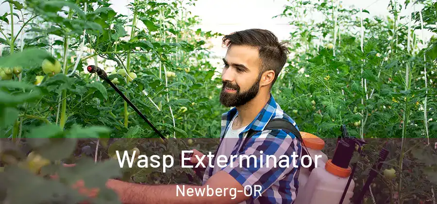  Wasp Exterminator Newberg-OR