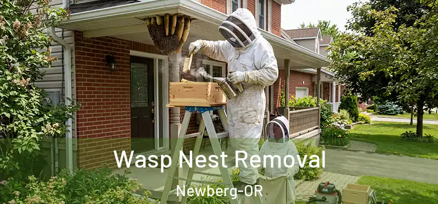 Wasp Nest Removal Newberg-OR