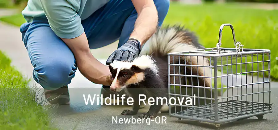 Wildlife Removal Newberg-OR