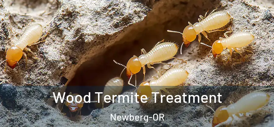 Wood Termite Treatment Newberg-OR