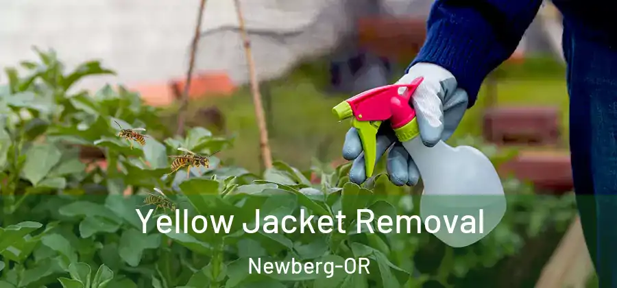 Yellow Jacket Removal Newberg-OR